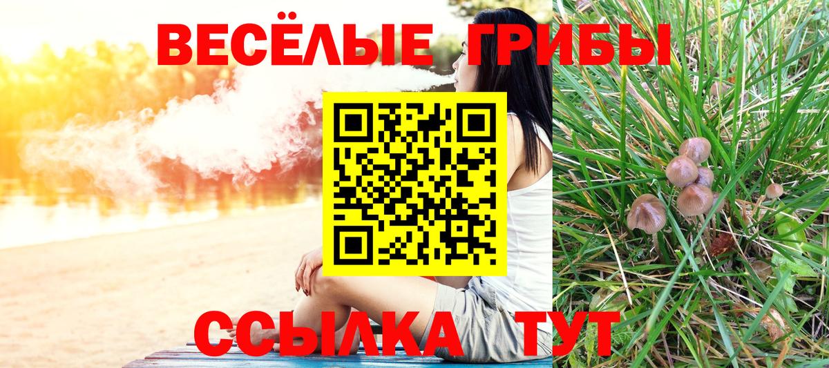 Галлюциногенные грибы Psilocybine cubensis  Вход с VPN  Камышлов 