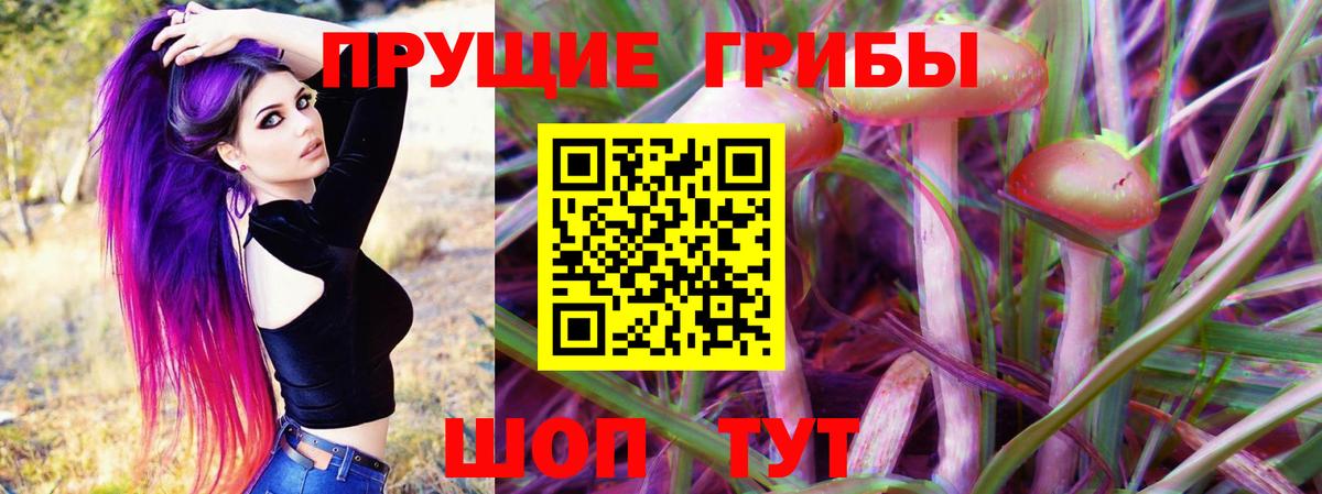 Псилоцибиновые грибы Magic Shrooms Камышлов